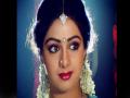 ही होती श्रीदेवी यांची अखेरची इच्छा, कुटुंबाने केली होती पूर्ण - Marathi News | sridevi last wish fulfil by her family | Latest filmy News at Lokmat.com