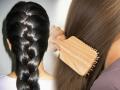 Hair Care Tips : केस पातळ झालेत, खूप गळतात? केस दाट होण्यासाठी ३ सोपे उपाय - Marathi News | Hair Care Tips: Thinning hair, shedding too much? 3 easy ways to thicken hair | Latest sakhi News at Lokmat.com