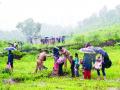 ऑपरेशन महालक्ष्मी : माणुसकीचे घडले दर्शन - Marathi News | The vision of humanity happened in mahalaxmi express in vangani | Latest thane News at Lokmat.com