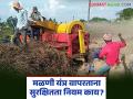 Threshing Machine Safety : मळणी यंत्र वापरताना सुरक्षितता नियम काय? शेतकऱ्यांनी नक्की जाणून घ्या! - Marathi News | latest news Threshing Machine Safety: What are the safety rules while using a threshing machine? Farmers should know this! | Latest agriculture News at Lokmat.com