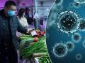 कोरोना अलर्ट : भाज्या, फळं आणि फ्रोजन फूड्सना थेट हात का लावू नये? रिसर्चमधून खुलासा... - Marathi News | Coronavirus : Beware before direct touch to vegetables fruits and frozen foods api | Latest health Photos at Lokmat.com