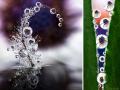 केवळ पाण्याचे थेंबांचे इतके सुंदर फोटो तुम्ही याआधी कधीही पाहिले नसतील! - Marathi News | Amazing water droplet photos goes viral | Latest social-viral Photos at Lokmat.com
