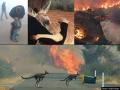 ऑस्ट्रेलियात वन्यजीव भस्मसात, पर्यावरणाचं महत्व आलं लक्षात - Marathi News | Considering the importance of the environment, the fire consumed wildlife in australia | Latest international Photos at Lokmat.com