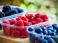 या ‘बेरीज’आरोग्यासाठी लाभदायक! - Marathi News | these berries are good for health | Latest health Photos at Lokmat.com