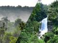 हे आहेत सर्वाधिक घनदाट जंगले असलेले आघाडीचे दहा देश - Marathi News | These are the most dense forests | Latest international Photos at Lokmat.com
