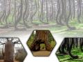 जगभरातली चित्र-विचित्रं झाडं; तुम्हीही पाहून व्हाल थक्क! - Marathi News | Picturesque trees all over the world; You will be amazed to see it too! | Latest international Photos at Lokmat.com