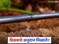 Tibak Anudan : 'या' जिल्ह्यातील शेतकऱ्यांना मिळाले ठिबकचं अनुदान, वाचा सविस्तर  - Marathi News | Latest News Tibak Anudan Farmers in Nandurbar district get drip subsidy read in detail | Latest agriculture News at Lokmat.com