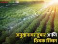 Drip irrigation : तुषार आणि ठिबकसाठी 90 टक्के अनुदान मिळतयं, तुम्ही अर्ज केला का? वाचा सविस्तर  - Marathi News | Latest News 90 percent subsidy for frost and drip irrigation, did you apply? Read in detail  | Latest agriculture News at Lokmat.com