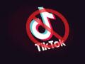 टिकटॉकर्स नक्की कोण असतात ?  - Marathi News | tiktok ban - Who exactly are the tiktokers? | Latest oxygen News at Lokmat.com