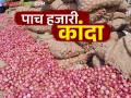 Kanda Bajar Bhav : नगर जिल्ह्यात या बाजार समितीत कांद्याला साडेपाच हजार रुपये भाव वाचा सविस्तर - Marathi News | Kanda Bajar Bhav: In Nagar District in this market committee the price of onion at five and a half thousand rupees read in detail | Latest agriculture News at Lokmat.com