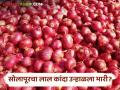 Onion Market Rate : सोलापुरातून लाल तर पिंपळगाव बसवंतला उन्हाळ कांद्याची सर्वाधिक आवक; वाचा काय मिळतोय दर - Marathi News | Onion Market Rate: red from Solapur while Pimpalgaon Baswant has the highest arrival of summer onion; Read what rates are available | Latest agriculture News at Lokmat.com