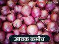 Onion Market Rate : आवक कमी तरीही दर स्थिर; वाचा आजचे कांदा बाजारभाव - Marathi News | Onion Market Rate: Inflow low but price stable; Read today's onion market price | Latest agriculture News at Lokmat.com