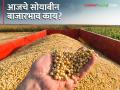 Soybean Bajar Bhav : वरोरा-खांबाडा बाजारात सोयाबीनची सर्वाधिक आवक; काय भाव मिळाला ते वाचा सविस्तर - Marathi News | Soybean Bajar Bhav : Highest arrival of soybeans in Varora-Khambad market; Read the price in detail | Latest agriculture News at Lokmat.com