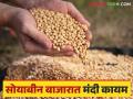 Soybean Market Rate : बाजारात सोयाबीनची आवक मंदावली; वाचा आजचे सोयाबीन बाजारभाव - Marathi News | Soybean Market Rate: Soybean sales in the market slowed down; Read today's soybean market prices | Latest agriculture News at Lokmat.com