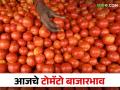 Tomato Market राज्यात काय मिळतोय टोमॅटोला दर; वाचा आजचे टोमॅटो बाजारभाव - Marathi News | Tomato Market What is the price of tomatoes in the state; Read today's tomato market prices | Latest agriculture News at Lokmat.com