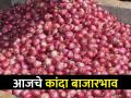 कांदा दरात घसरण सुरूच! आजचे कांदा बाजारभाव काय? - Marathi News | Onion prices continue to fall! What is today's onion market price? | Latest agriculture News at Lokmat.com