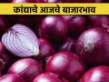 कांदा उत्पादक शेतकरी हतबल, कांदा भावात घसरण सुरूच! - Marathi News | Onion farmers are desperate, onion prices continue to fall! | Latest agriculture News at Lokmat.com