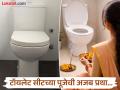 'इथे' टॉयलेट सीटला वाकून केला जातो नमस्कार, पूजाही करतात; पाहा काय आहे ही प्रथा आणि यामागचं कारण - Marathi News | China people worship toilet seat know the interesting facts of about it | Latest jarahatke Photos at Lokmat.com
