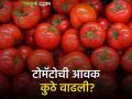 Tomato Market : आठवडाभरापासून नाशिक जिल्ह्यात टोमॅटोची सर्वाधिक आवक, बाजारभाव काय मिळतोय?  - Marathi News | Latest News Tomato Market maximum arrival of tomatoes in Nashik district in week see market price | Latest agriculture News at Lokmat.com