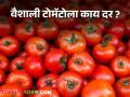 Tomato Market : भुसावळ बाजार समितीत टोमॅटो खातोय भाव, वाचा आजचे बाजारभाव - Marathi News | Latest News Todays Tomato market price in pune, nashik, jalgaon marke yard check here tomato bajarbhav | Latest agriculture News at Lokmat.com