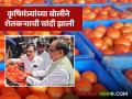 नारायणगाव बाजारात चक्क केंद्रीय कृषिमंत्र्यांनी केला टोमॅटोचा लिलाव; कसा मिळाला भाव? - Marathi News | The Union Agriculture Minister auctioned tomatoes at Narayangaon market; How did he get the price? | Latest agriculture News at Lokmat.com
