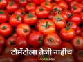 Tomato Market : पुणे, सोलापूर बाजारात टोमॅटोला काय भाव मिळाला? वाचा सविस्तर - Marathi News | Latest News Tomato bajarbhav tomato market price in Pune, Solapur market Read in detail | Latest agriculture News at Lokmat.com