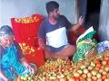 Tomato: टोमॅटो फुकट देणे आहे, पाच रुपये किलोने विक्री; खर्चही निघेना - Marathi News | Tomato: Tomatoes are free, sold at Rs 5 per kg; No expenses | Latest ahilyanagar News at Lokmat.com