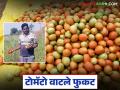 मजुराची हजेरी न निघाल्याने आठवडा बाजारात शेतकऱ्याने टोमॅटो वाटले फुकट - Marathi News | Farmer distributes tomatoes for free at weekly market due to laborer's absence | Latest agriculture News at Lokmat.com
