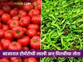 आगामी काही दिवस टोमॅटो मिरचीसह इतर भाज्या महागच राहण्याची शक्यता; कृषी तज्ञ - Marathi News | Tomatoes and other vegetables are likely to remain expensive for the next few days; | Latest agriculture News at Lokmat.com