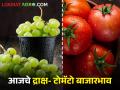 द्राक्षांसह टोमॅटोचा बाजारभाव घसरला, आज कुठल्या बाजार समितीत काय बाजारभाव मिळाला?  - Marathi News | Latest News Todays Grape and tomato market price in maharashtra bajar samiti | Latest agriculture News at Lokmat.com