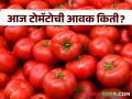 Tomato Market : कल्याण, भुसावळ बाजार समितीत टोमॅटोला सर्वाधिक दर, वाचा आजचे बाजारभाव  - Marathi News | Latest News Kalyan, Bhusawal market yard highest price for tomato, read tomato price | Latest agriculture News at Lokmat.com