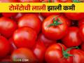 Nashik Tomato Market : नाशिक मार्केटला भाजीपाल्याला काय भाव मिळतोय, वाचा सविस्तर  - Marathi News | Latest News Read more about price of vegetables in Nashik market yard see details | Latest agriculture News at Lokmat.com