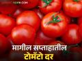 Tomato Market : टोमॅटो आवकेत 8 टक्क्यांची घट, मागील आठवड्यात काय दर मिळाला?  - Marathi News | Latest News Tomato prices averaged Rs 1570 per quintal last week see details | Latest agriculture News at Lokmat.com