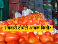 Tomato Market : मंगळवेढा, भुसावळ, राहता बाजारात टोमॅटोला सारखाच भाव, वाचा आजचे बाजारभाव - Marathi News | Latest News Todays Same price of tomato in Mangalvedha, Bhusawal, Rahata market yard check here | Latest agriculture News at Lokmat.com