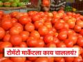 Tomato Market : टोमॅटो दरात कमालीची घसरण, कुठे-काय भाव मिळाला, वाचा आजचे दर - Marathi News | Latest news todays tomato at Rs 7 to 8 per kg in market yards in maharashtra | Latest agriculture News at Lokmat.com