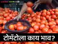 Tomato Market: मुंबई बाजारात नंबर एकच्या टोमॅटोला सर्वाधिक भाव, वाचा आजचे बाजारभाव - Marathi News | Latest News Todays Tomato market price in mumbai tomato market check here details | Latest agriculture News at Lokmat.com