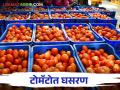 Tomato Market: टोमॅटोचे दरात झाली कशामुळे झाली घसरण.. वाचा सविस्तर - Marathi News | Tomato Market: What caused the fall in the price of tomatoes.. read in detail | Latest agriculture News at Lokmat.com