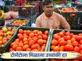 Tomato Market : टोमॅटोच्या लालीने शेतकरी चकाकणार; काय मिळाला दर वाचा सविस्तर  - Marathi News | Tomato Market : Farmers get high price for tomatoes; Read more about what you got price | Latest agriculture News at Lokmat.com