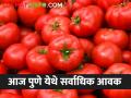Tomato Market राज्यात सर्वाधिक टोमॅटो आवक आज पुण्यात; वाचा काय मिळतोय दर - Marathi News | Tomato Market Highest tomato arrival in the state today in Pune; Read what rates are available | Latest agriculture News at Lokmat.com