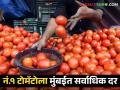 Tomato Market नं.१ टोमॅटोला मुंबईत सर्वाधिक दर; वाचा आजचे टोमॅटो बाजारभाव - Marathi News | Tomato Market No.1 Highest price for tomatoes in Mumbai; Read today's tomato market prices | Latest agriculture News at Lokmat.com