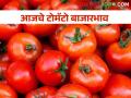 टोमॅटोला काय भाव मिळाला? वाचा आजचे बाजारभाव  - Marathi News | Latest news 05 feb 2024 Todays Tomato Market Price in Maharashtra | Latest agriculture News at Lokmat.com