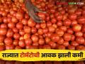 Market Update राज्यात टोमॅटो आवक झाली कमी; वाचा काय मिळतोय दर - Marathi News | Market Update The arrival of tomatoes in the state has decreased; Read what rates are available | Latest agriculture News at Lokmat.com