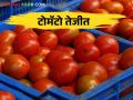 Tomato Bajar Bhav : मोडनिंब बाजारात टोमॅटोला प्रतिकिलो मिळाला वीस रुपयांचा दर - Marathi News | Tomato fetched Rs.20 per kg in Modnimb market | Latest agriculture News at Lokmat.com