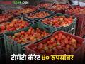 Kanda Tomato Market : टोमॅटो कॅरेटला चाळीस रुपये भाव, तर उन्हाळ कांद्याचेही दर घसरलेलेच! - Marathi News | Latest News kanda Tomato market these two crops market prices down in nashik district | Latest agriculture News at Lokmat.com