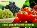 Tomato Market : टोमॅटो दरात घसरण, द्राक्षाला काय बाजारभाव मिळाला, जाणून घ्या आजचे दर  - Marathi News | latest News 24 Feb Todays Tomato and Grape Market In Maharashtra Bajar samiti | Latest agriculture News at Lokmat.com