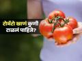 भलेही चांगले लागतात- पोषण देतात, पण काही लोकांसाठी टोमॅटो खाणंच घातक-पाहा कुणी न खाणंच बरं.. - Marathi News | Which disease can caused by eating tomatoes and who should avoid | Latest sakhi News at Lokmat.com
