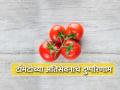 Health tips: टॉमेटोचे फायदे माहित असतील आता दुष्परिणामही जाणून घ्या...आहेत अत्यंत घातक - Marathi News | side effects of over eating tomatoes | Latest health Photos at Lokmat.com