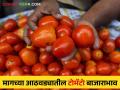 Tomato Market : टोमॅटोची आवक वाढली, दर वाढले का? वाचा मागील आठवड्यातील बाजारभाव  - Marathi News | Tomato arrival increased, did the price increase? Read last week's market prices  | Latest agriculture News at Lokmat.com