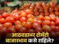 Tomato Market : आठवडाभरात टोमॅटो दरात 46 टक्क्यांची घट, कसे होते बाजारभाव? वाचा सविस्तर  - Marathi News | Latest News Tomato Market 46 percent decrease in tomato price within week Read in detail  | Latest agriculture News at Lokmat.com