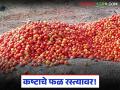 कष्टाचे फळ रस्त्यावर! २६ क्विंटल टोमॅटो फेकताना शेतकऱ्याच्या डोळ्यात पाणी - Marathi News | The fruits of hard work are on the road! Tears in farmer's eyes as he throws 26 quintals of tomatoes | Latest agriculture News at Lokmat.com
